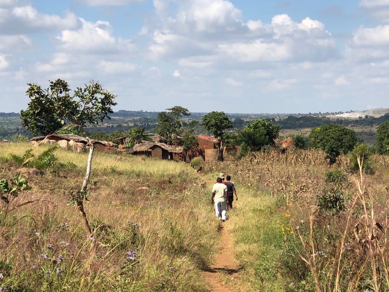 Malawi: Ntenje